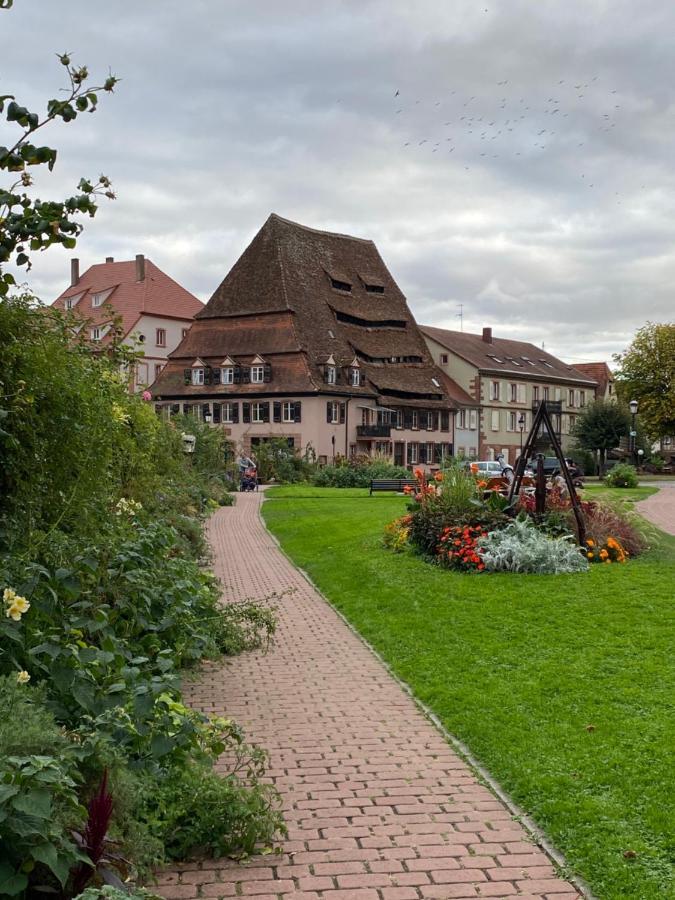 Logement Tout Confort 3 - Wifi - Parking Wissembourg Exterior foto